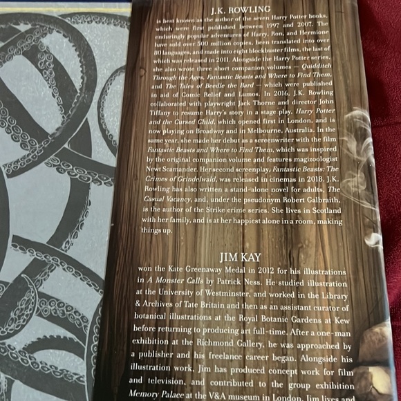 J. K. Rowling, Harry Potter, and the goblet of fire illustrated by Jim K year 4 - Picture 3 of 8